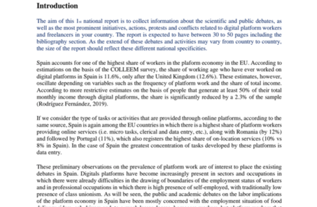 Spain Work in digital platforms_ Literature review and preliminary  interviews