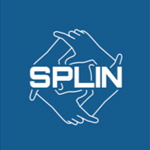 splin project